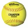 Wilson A9106BASA ASA 12" Fastpitch Softball-Dozen 2 Wilson A9106BASA ASA 12" Fastpitch Softball-Dozen -Gloves Sales wilson a9106basa asa 12 fastpitch softball dozen 32 22519.1569698117
